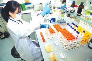 贊！網(wǎng)售食品也要查許可證 最嚴(yán)食安法十月起實施